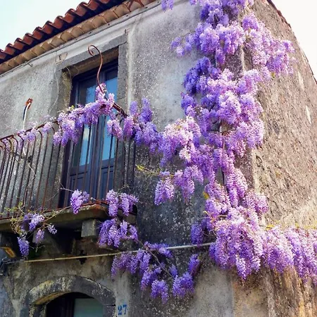 Casa Lumera Lägenhet *